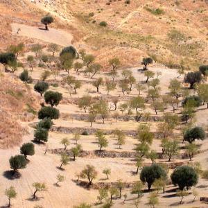 Italia. Calabria. Campagne