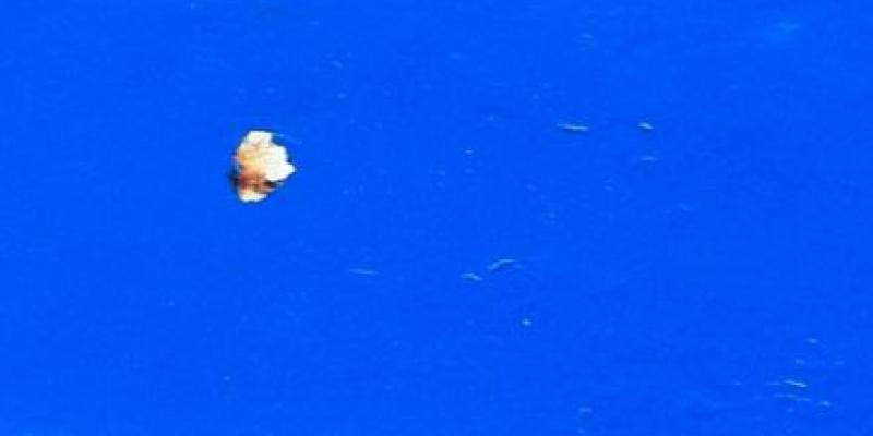 LACDA 2014 "Top 40" Juried Competition Winners Exhibition