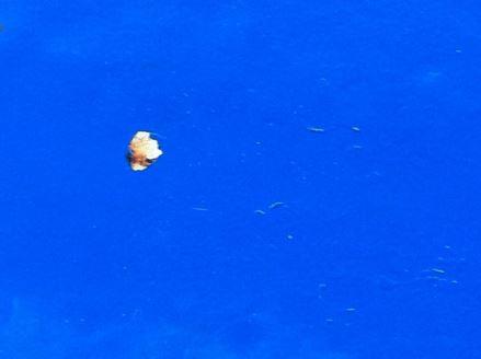 LACDA 2014 "Top 40" Juried Competition Winners Exhibition