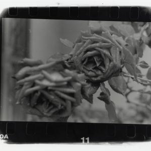 2 WORKSHOP IN MOSTRA