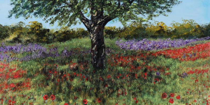 Mostra Personale--Bianca Vivarelli Mostra Personale--Bianca Vivarelli