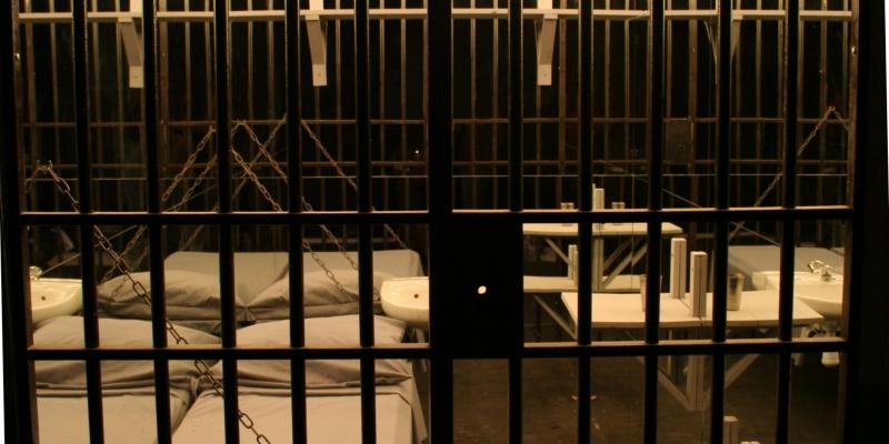 LOREDANA LONGO "CAGES" LOREDANA LONGO "CAGES"