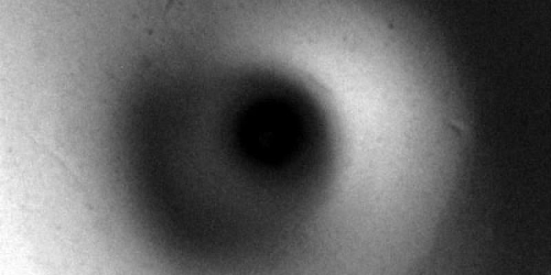 morphology morphology