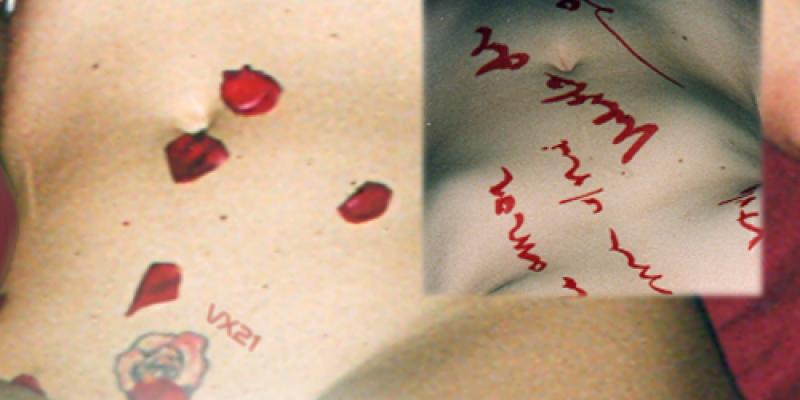 Pulsional Gender Art: lo storico Vitaldo Conte indica la nuova generazione di artisti dell'indagine corporea