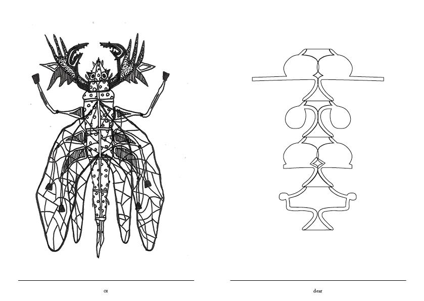 Dear York, this bug in my bed is new work.