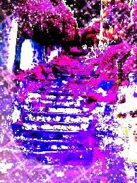 ...LE COSE SEMPLICI !!!...