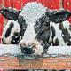 " Dutch cow in the snow "