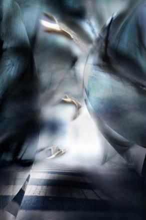 ognuno segua la propria luce.