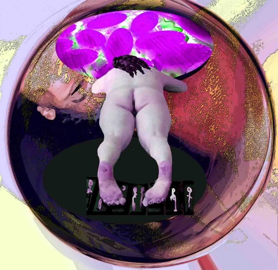 Sharks in the Mirror