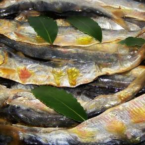 Misultin (misultit) - nome del pesce agone - Misultin (misultit) - name of the agone fish