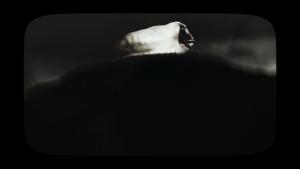 Jacopo Gregori - Gabriella Napolitano - La distanza dagli occhi