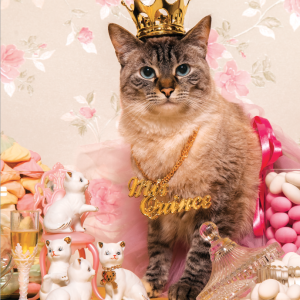 SPOILED QUINCEAÑERA