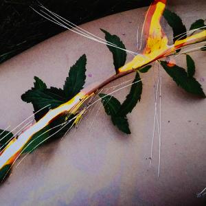 Operation #2 Operation #2