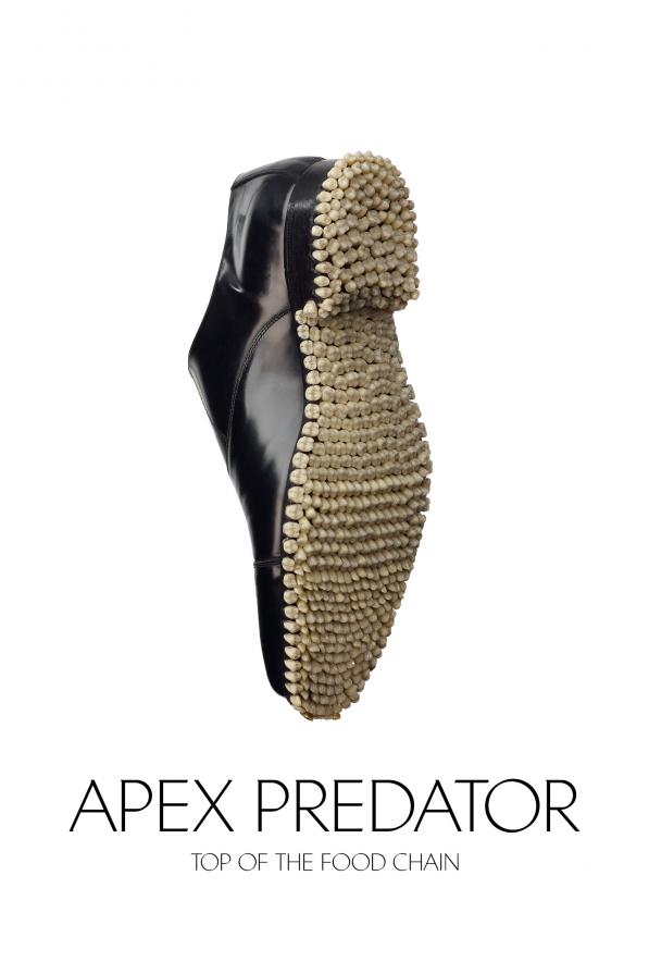 Apex Predator | Oxfords