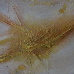 Artistic Plastic Surgery#6