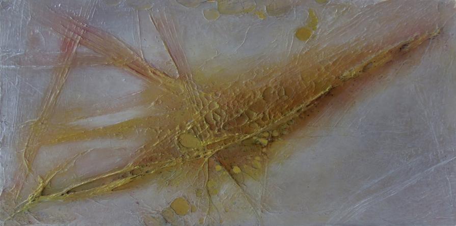 Artistic Plastic Surgery#6