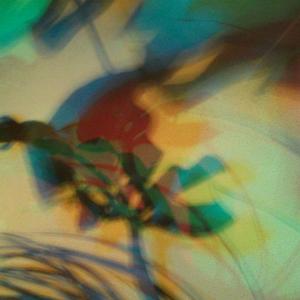 I colori della biodiversità -2015