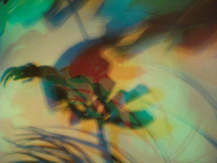 I colori della biodiversità -2015