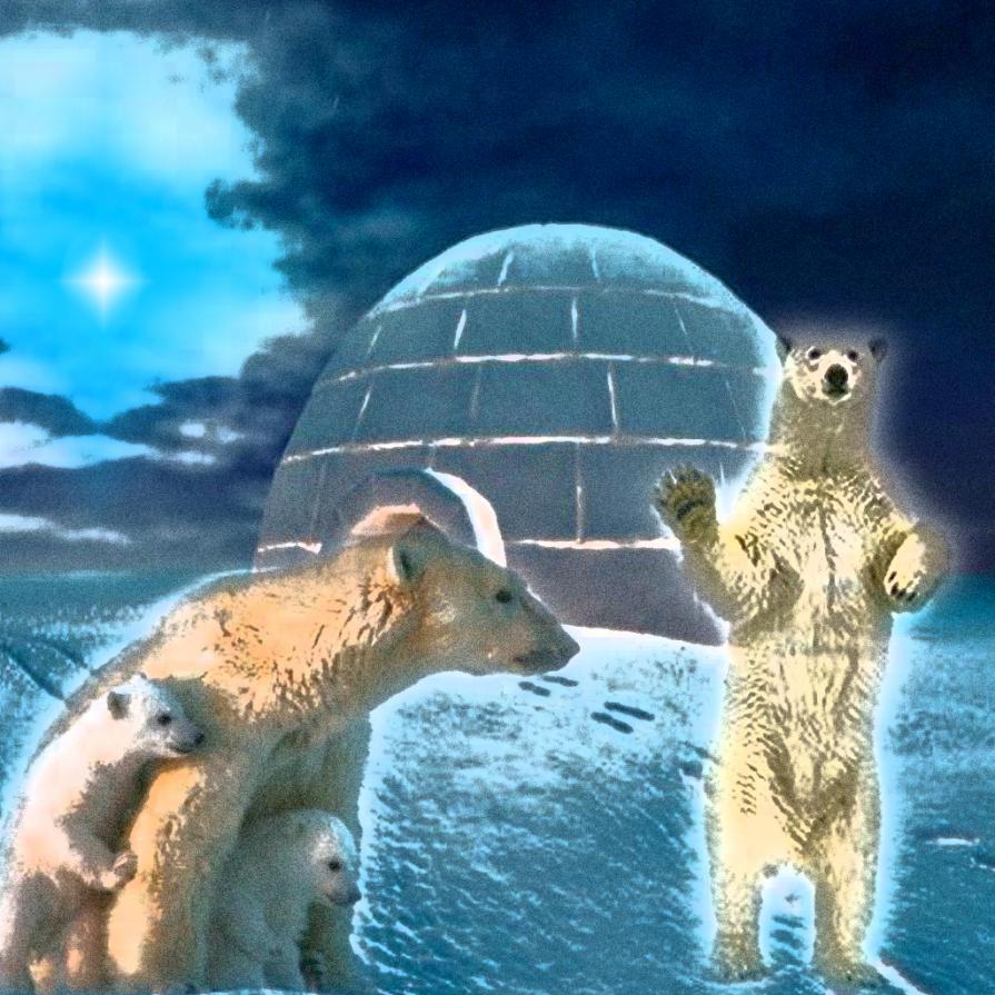 no non voglio cedere !!!