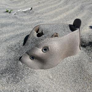 IO CAMMINO TRA LE NUVOLE IO CAMMINO TRA LE NUVOLE