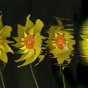 soffia che giraaaaaaaaaaaa