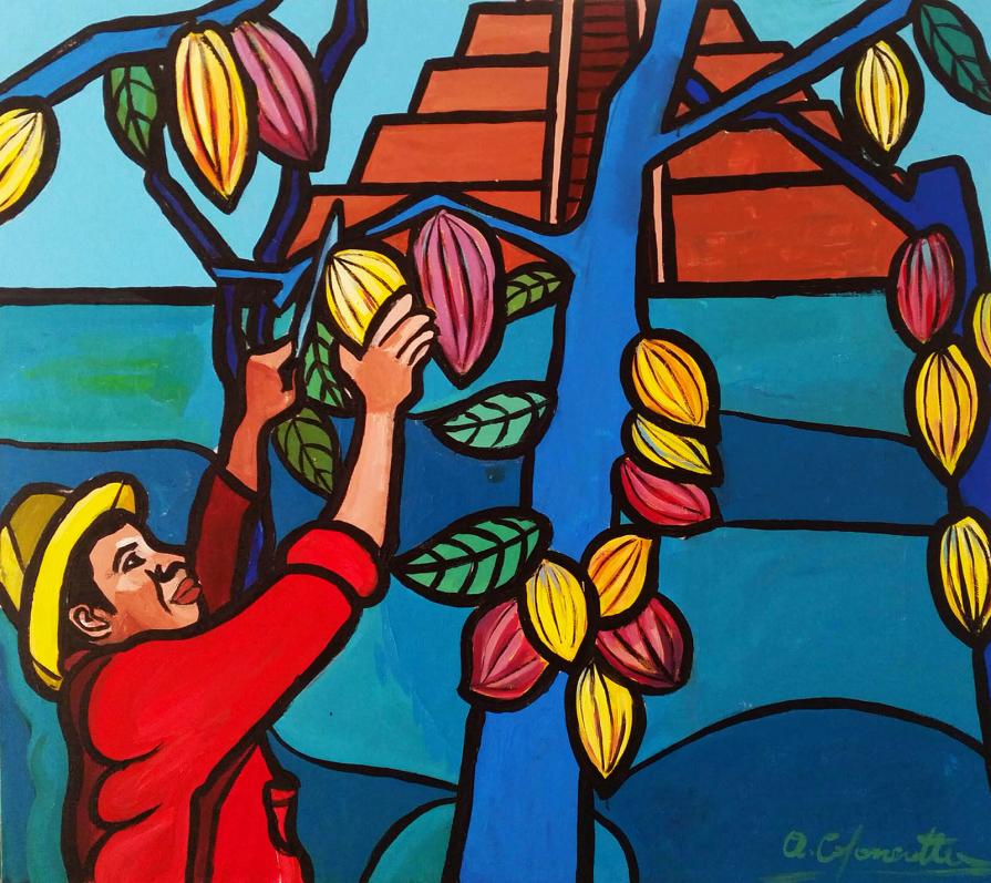 La raccolta del cacao - The cocoa harvest