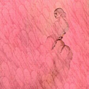 Dissolvenza in rosa 3 (particolare)