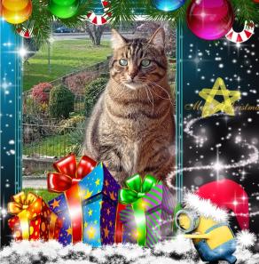 Con un cuore grande quanto la sua stazza !!! ....