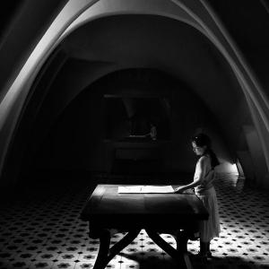 Primo premio e Targa d'oro Premio Arte Mondadori 2011 - Sezione Fotografia