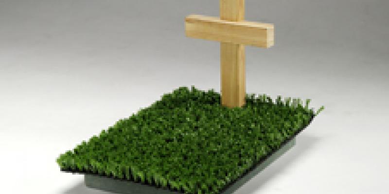 Terra Promessa e Terapia di coppia alla Casa d'Aste Babuino