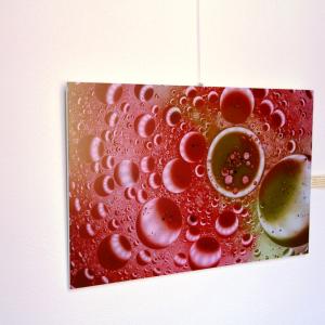 OLTRE L'OBIETTIVO - FOTOGRAFIA E SCULTURA AL CASTELLO DEI GONZAGA