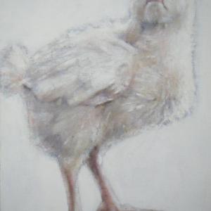 The Contemporary Art Fair NYC The Contemporary Art Fair NYC