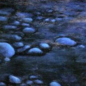 I fiori della notte / Renzo Fortin