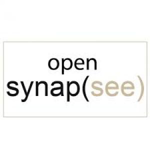 Synap(see) - Mostra