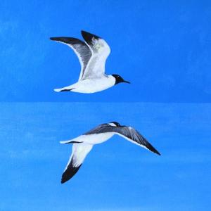 LUCI, COLORI ED EMOZIONI