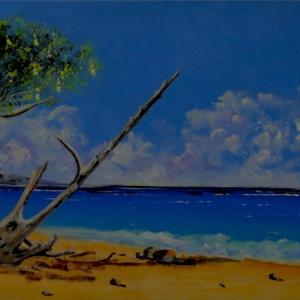 LUCI, COLORI ED EMOZIONI