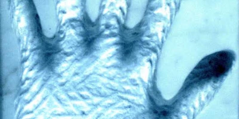 Mostra di Arte Contemporanea - Galleria AccorsiArte