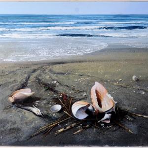 Palazzo Ducale di Revere dal 1° Luglio.