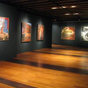 PAOLO BARATELLA: COSTANTI E VARIABILI Mostra Antologica d'Arte Contemporanea - Casa dei Carraresi - Treviso