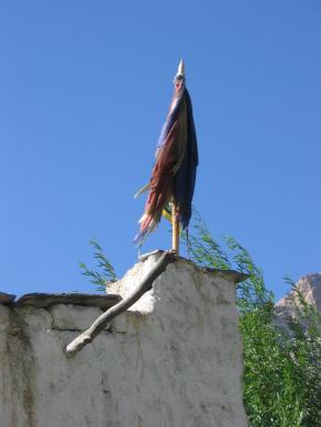 "Sottopelle # 20" Ldk05