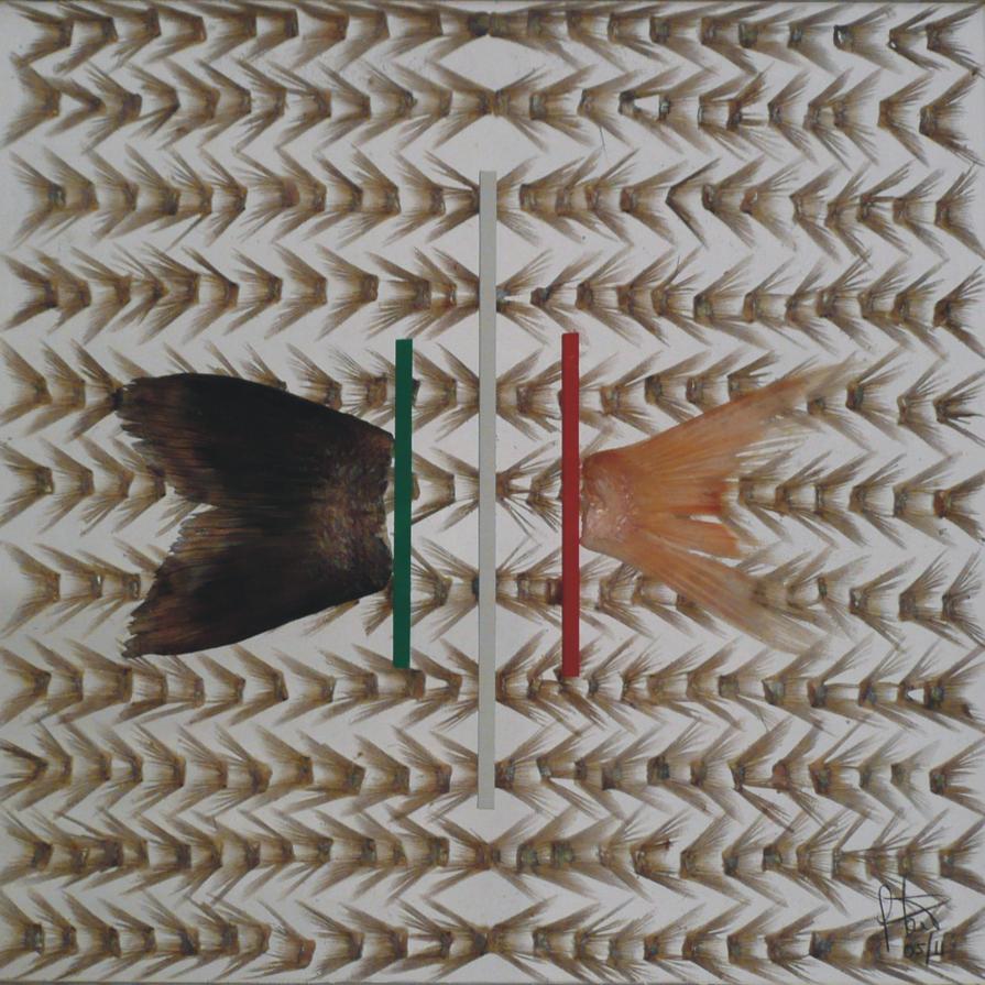 FRATELLI D' ITALIA FRATELLI D' ITALIA