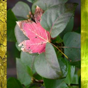 un niente più grande