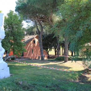 Paradies/Paradise/Paradiso