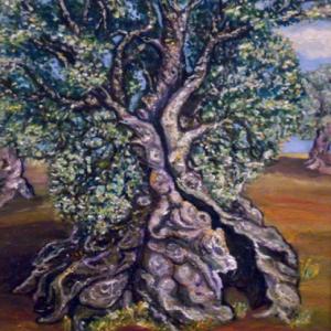 ALBERI , SOLO ALBERI , AMATI ALBERI .