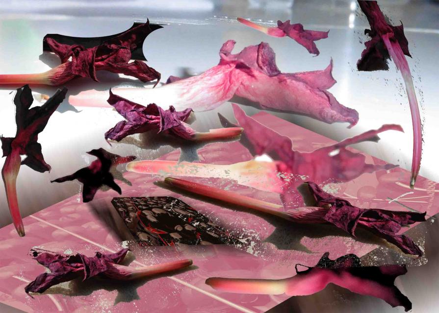 Paris Today Paris Today