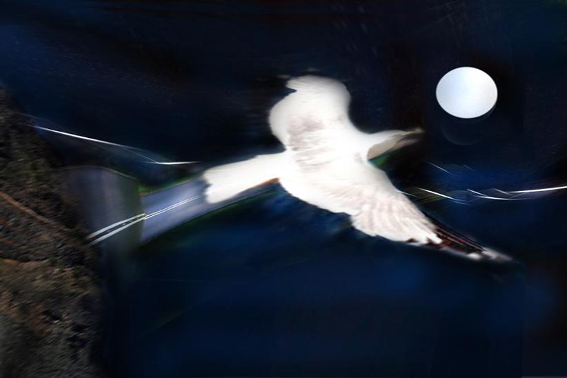 spicco  il volo da Pantelleria  per l'autostrada del sole.? o della luna,verso casa..