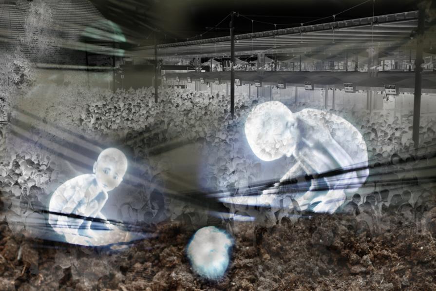 tutti in fila per EXPO2015,io intanto seppellisco il cuoricino di un bambino morto per malnutrimento.