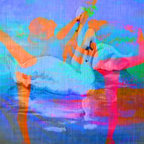 COSA TI ASPETTI ????