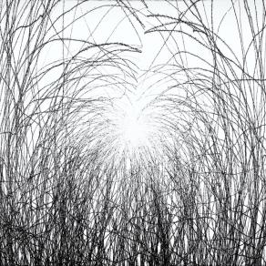 La luce è ovunque tu puoi "sentirla" (The light is everywhere you can feel it) 