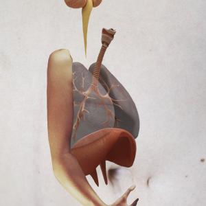 Me, Myslef & I, Anna